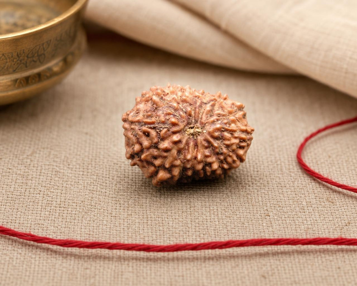 Natural 15 Mukhi Indonesian rudraksha bead with textured surface, placed on fabric with red thread