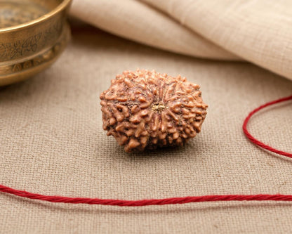 Natural 15 Mukhi Indonesian rudraksha bead with textured surface, placed on fabric with red thread