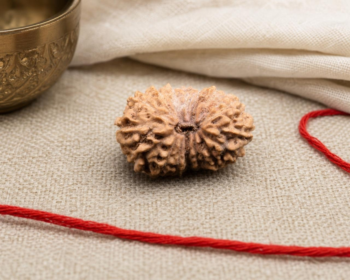 Natural 15 Mukhi Indonesian rudraksha bead on red thread on beige fabric background