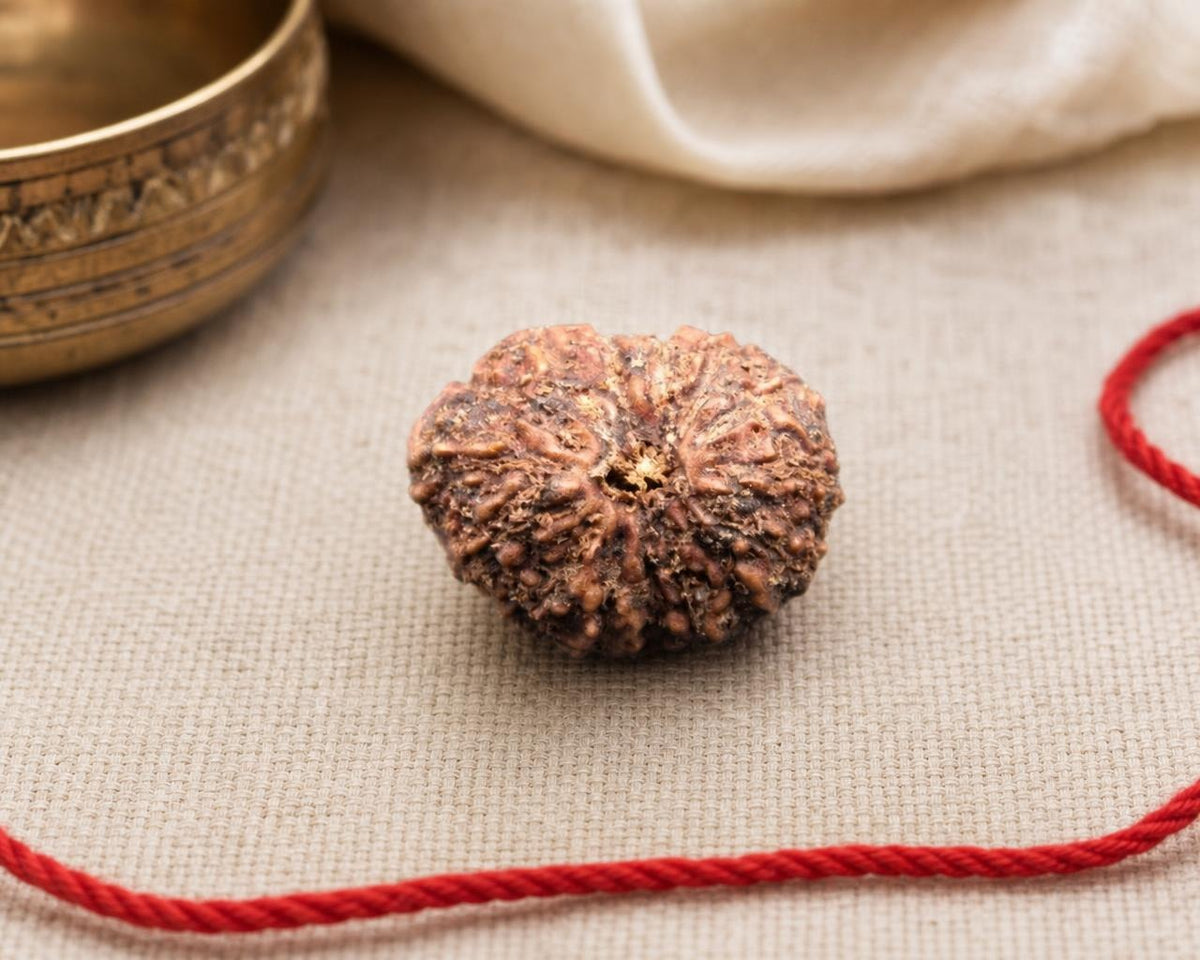 Natural 15 Mukhi Indonesia rudraksha bead with carved texture on red string