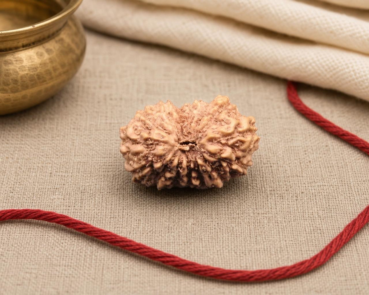 Natural 15 Mukhi Indonesian rudraksha bead with red thread on textured fabric background