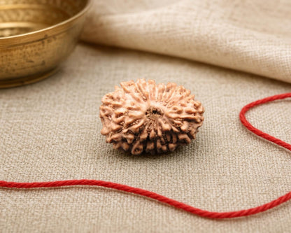 Natural 15 Mukhi rudraksha bead with red thread, close-up on beige fabric background