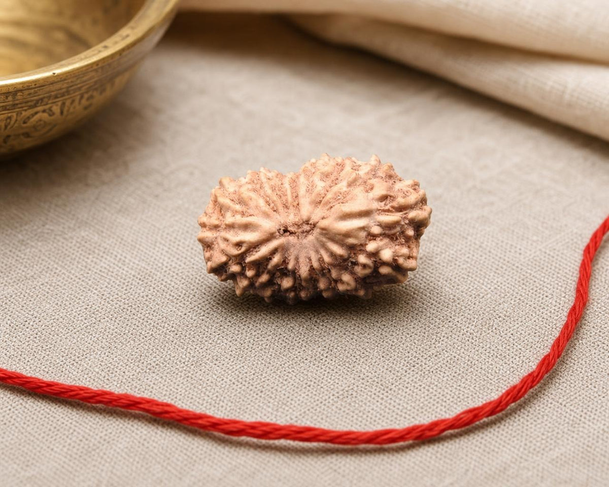 Natural 17 Mukhi Indonesian rudraksha bead with red thread, close-up on beige fabric
