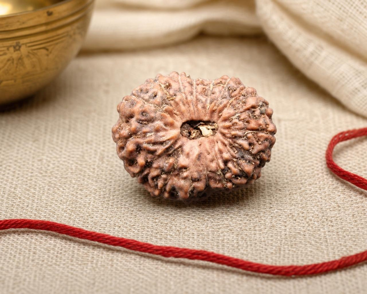Natural 17 Mukhi Indonesia rudraksha bead with textured surface and red thread on beige background
