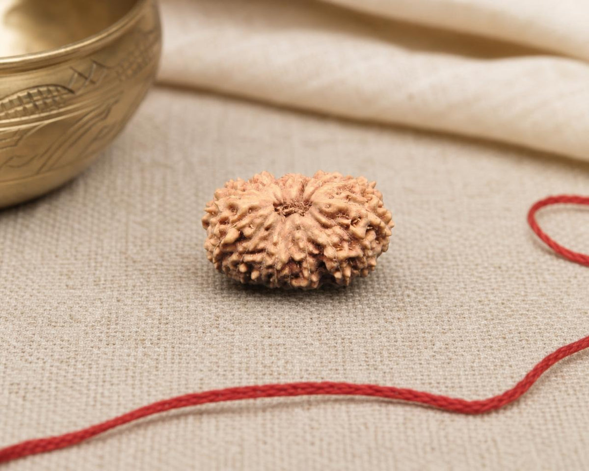 Natural 17 Mukhi Indonesian rudraksha bead with rough carved texture on beige fabric