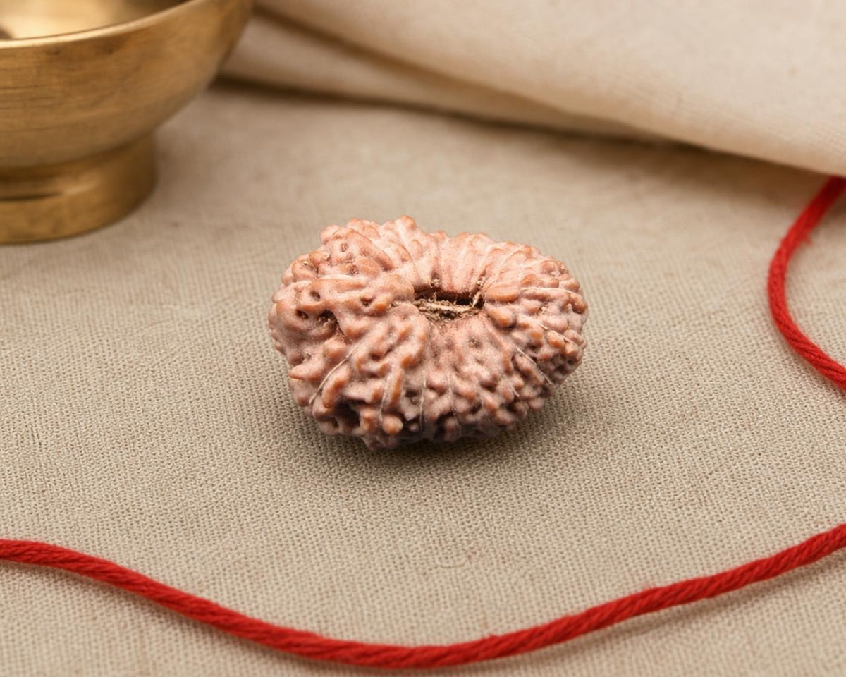 Natural 17 Mukhi rudraksha bead with carved face detail, on red thread
