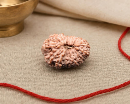 Natural 17 Mukhi rudraksha bead with carved face detail, on red thread