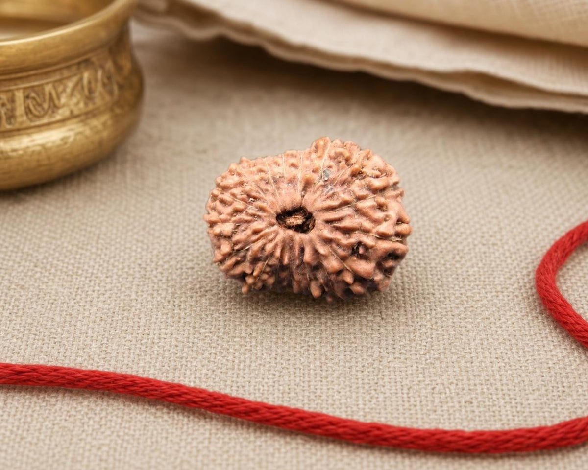 Natural 17 Mukhi Indonesian rudraksha bead with red string on textured fabric background