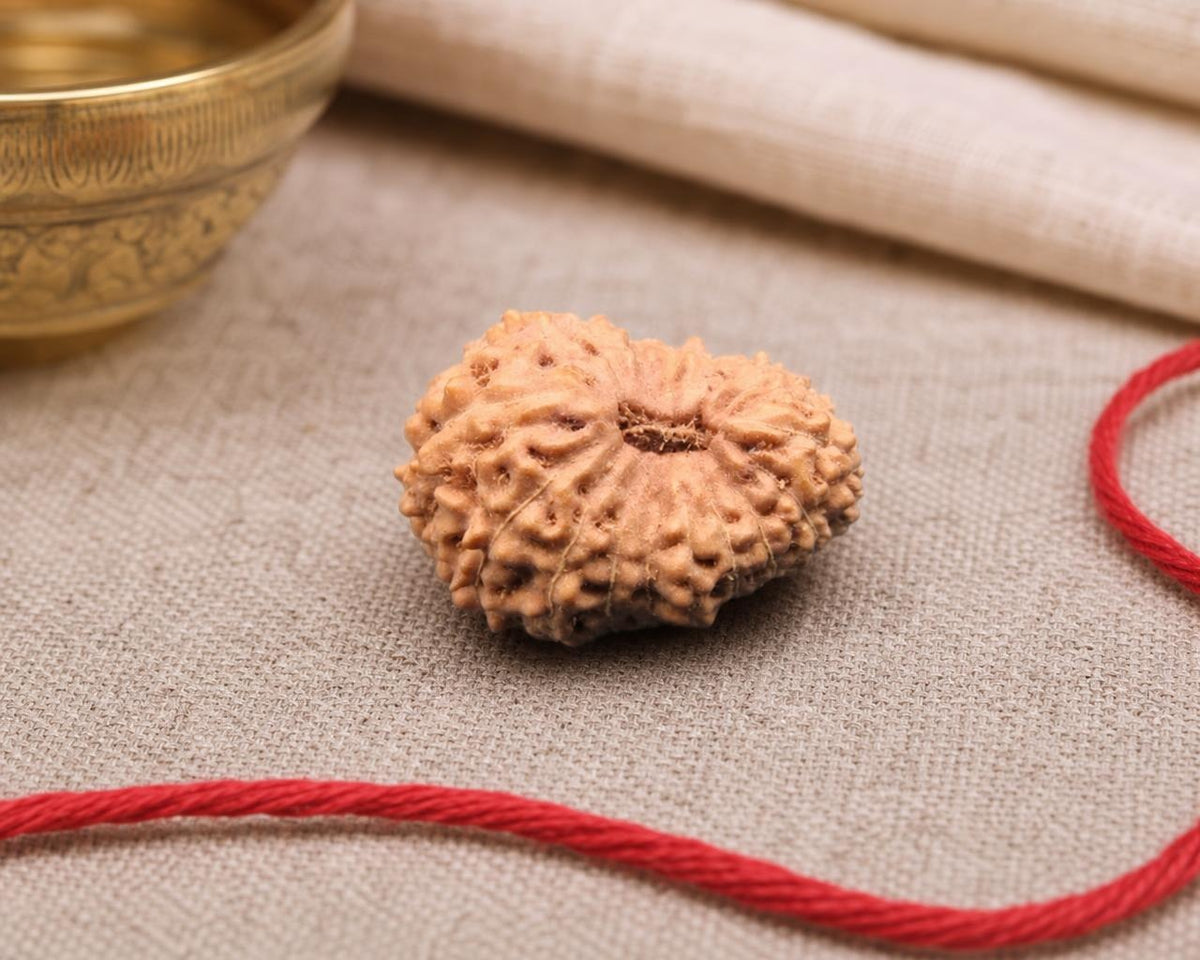 Natural 17 mukhi Indonesian rudraksha bead with textured surface on red sacred thread