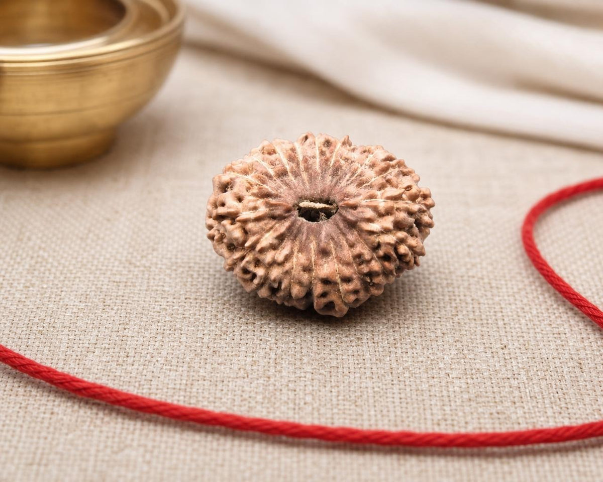 Natural 18 Mukhi Indonesian rudraksha bead with central hole, shown on beige fabric with red thread