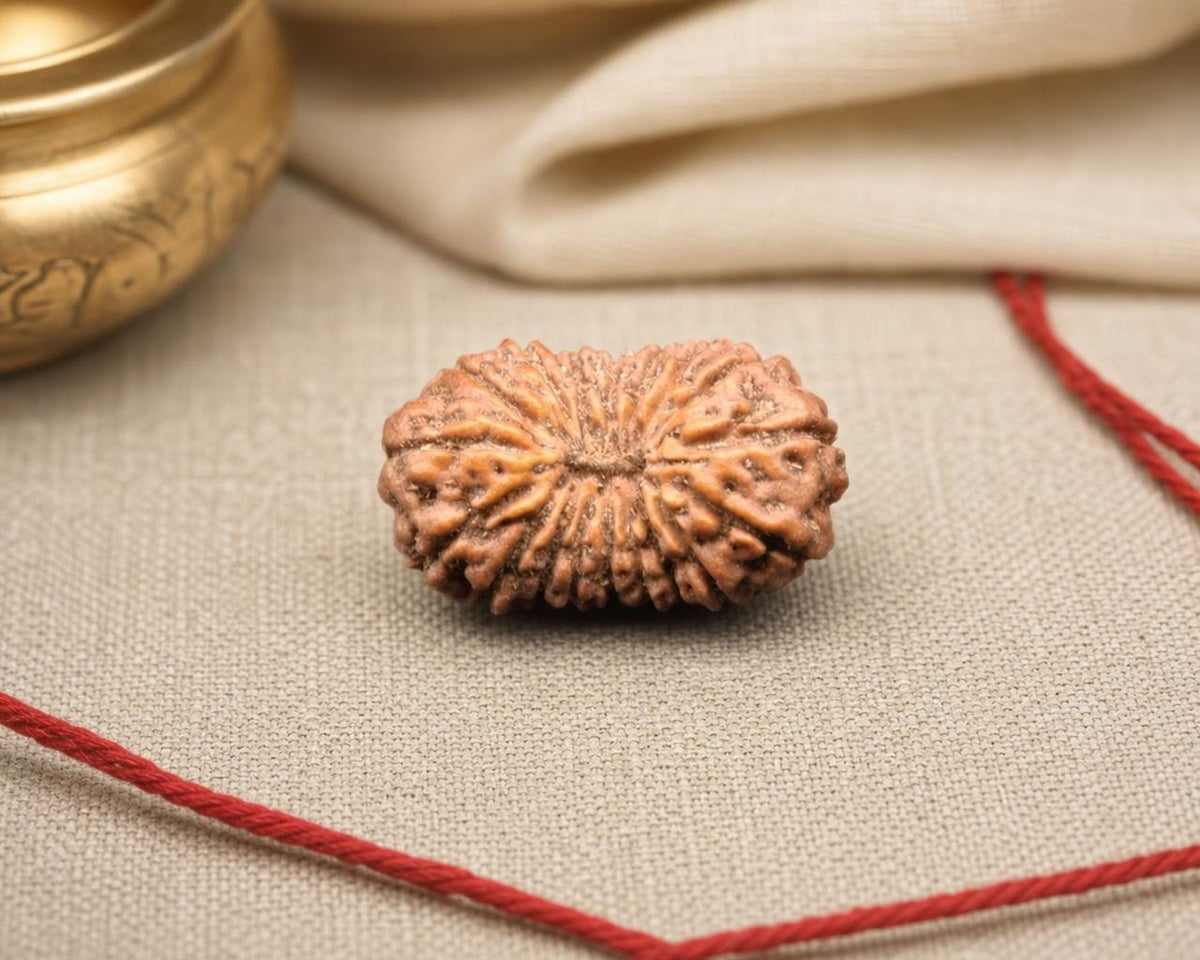 Natural 18 Mukhi Indonesia rudraksha bead with detailed ridges, shown on beige fabric and red thread