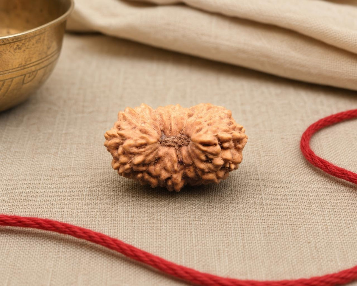 Natural 18 Mukhi Indonesian rudraksha bead close-up on beige fabric with red cord