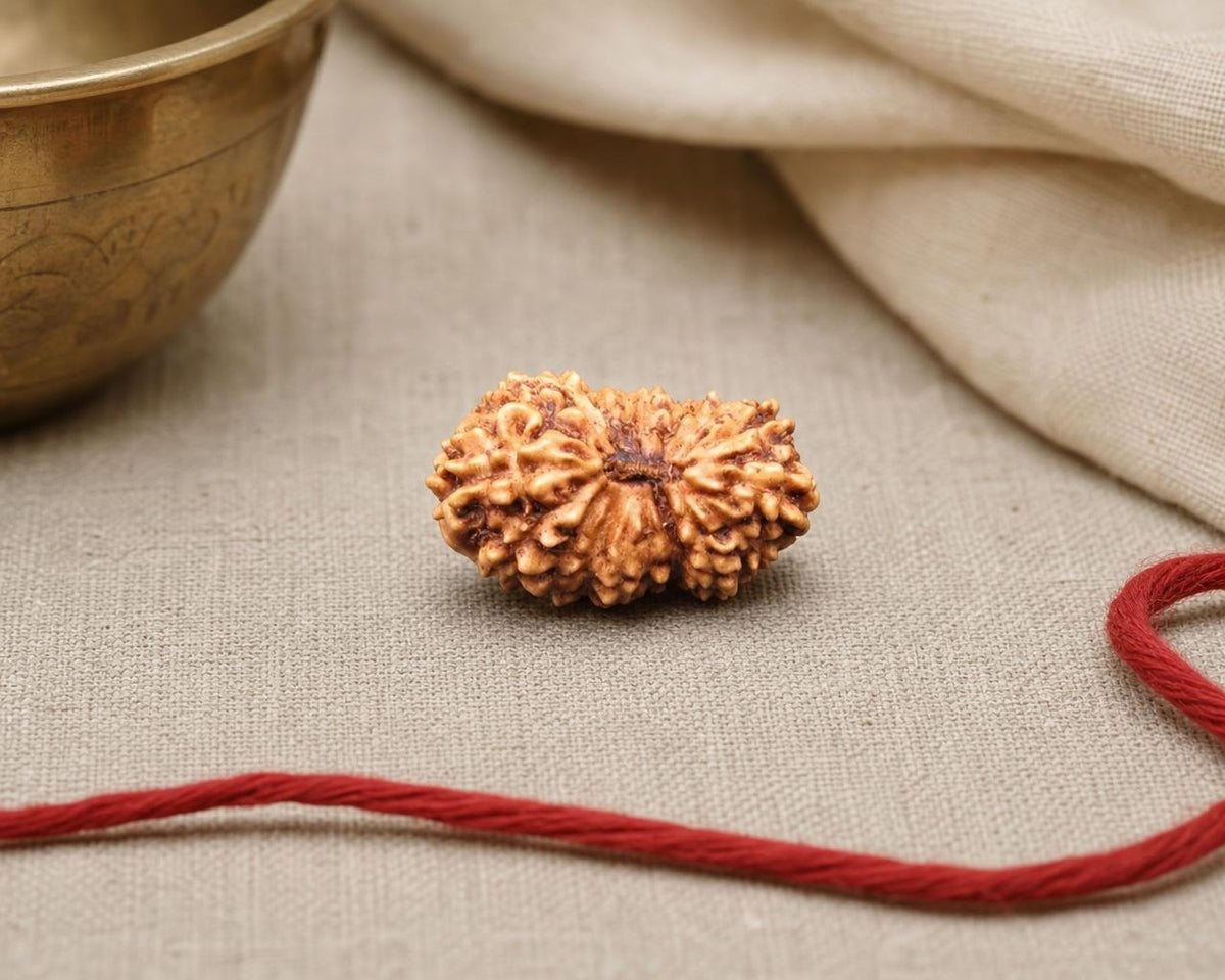 Natural 18 Mukhi Indonesian rudraksha bead with ridged surface on light fabric