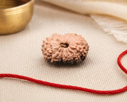 Natural 18 Mukhi rudraksha bead with central hole on red thread, close-up front view