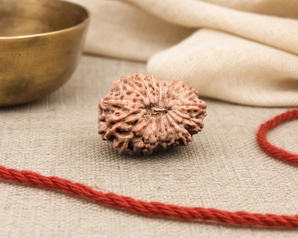 Natural 18 Mukhi Indonesia rudraksha bead with textured facets, shown on red thread