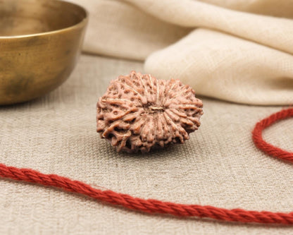 Natural 18 Mukhi Indonesia rudraksha bead with textured facets, shown on red thread