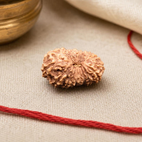 18 Mukhi Indonesia Natural Rudraksha 18.13 mm Rudraksha Report No. RDQ0044341