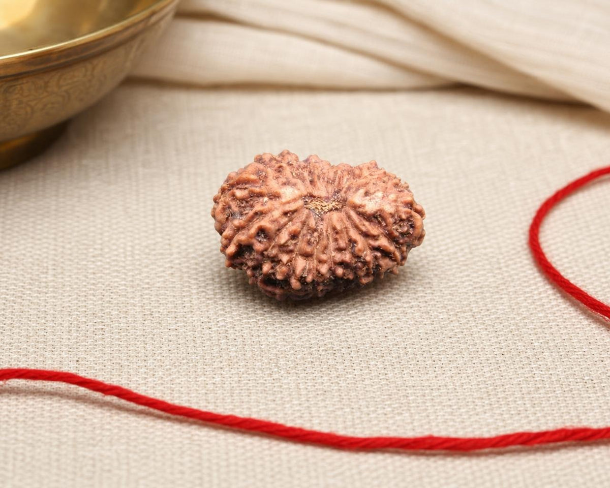 Natural Indonesian 18 mukhi rudraksha bead with 18-sided texture, shown on beige fabric with red thread