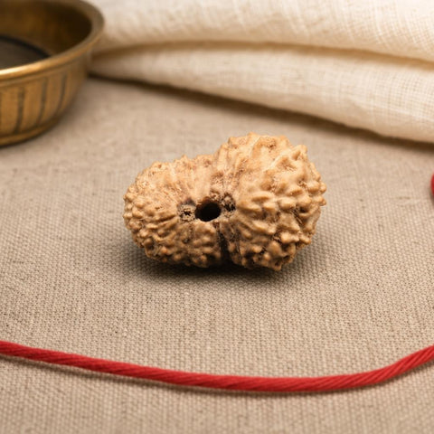 18 Mukhi Indonesia Natural Rudraksha 18.17 mm Rudraksha Report No. RDGJ620140