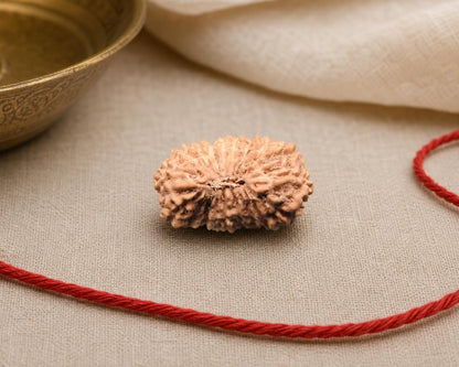 Natural 18 Mukhi rudraksha bead with textured surface on red sacred thread
