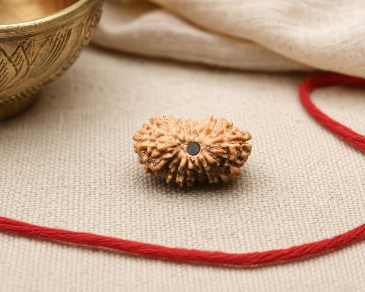 Natural 18 Mukhi rudraksha bead with carved grooves and dark center on red sacred thread