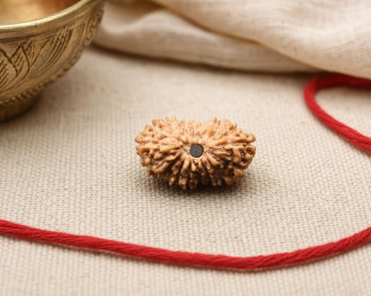 Natural 18 Mukhi rudraksha bead with carved grooves and dark center on red sacred thread