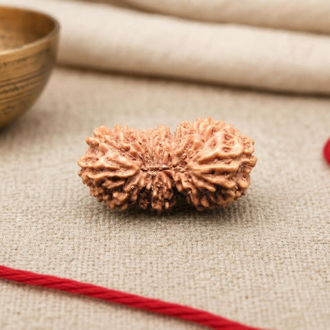 19 Mukhi Indonesia Natural Rudraksha 22.20 mm Rudraksha Report No. RDQ0044354