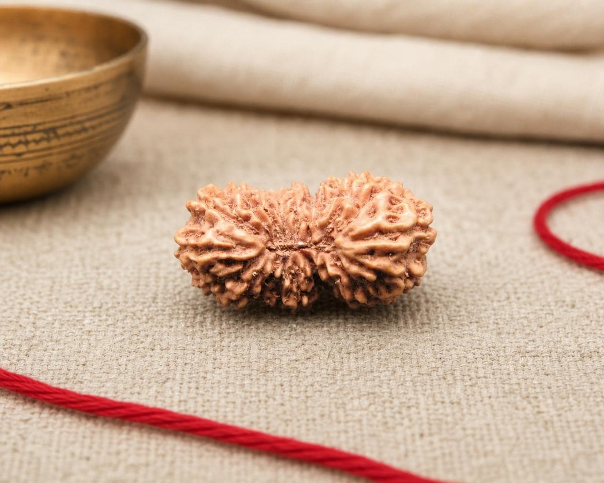 Natural 19 Mukhi Indonesian rudraksha bead with five-faced seed texture, on beige fabric