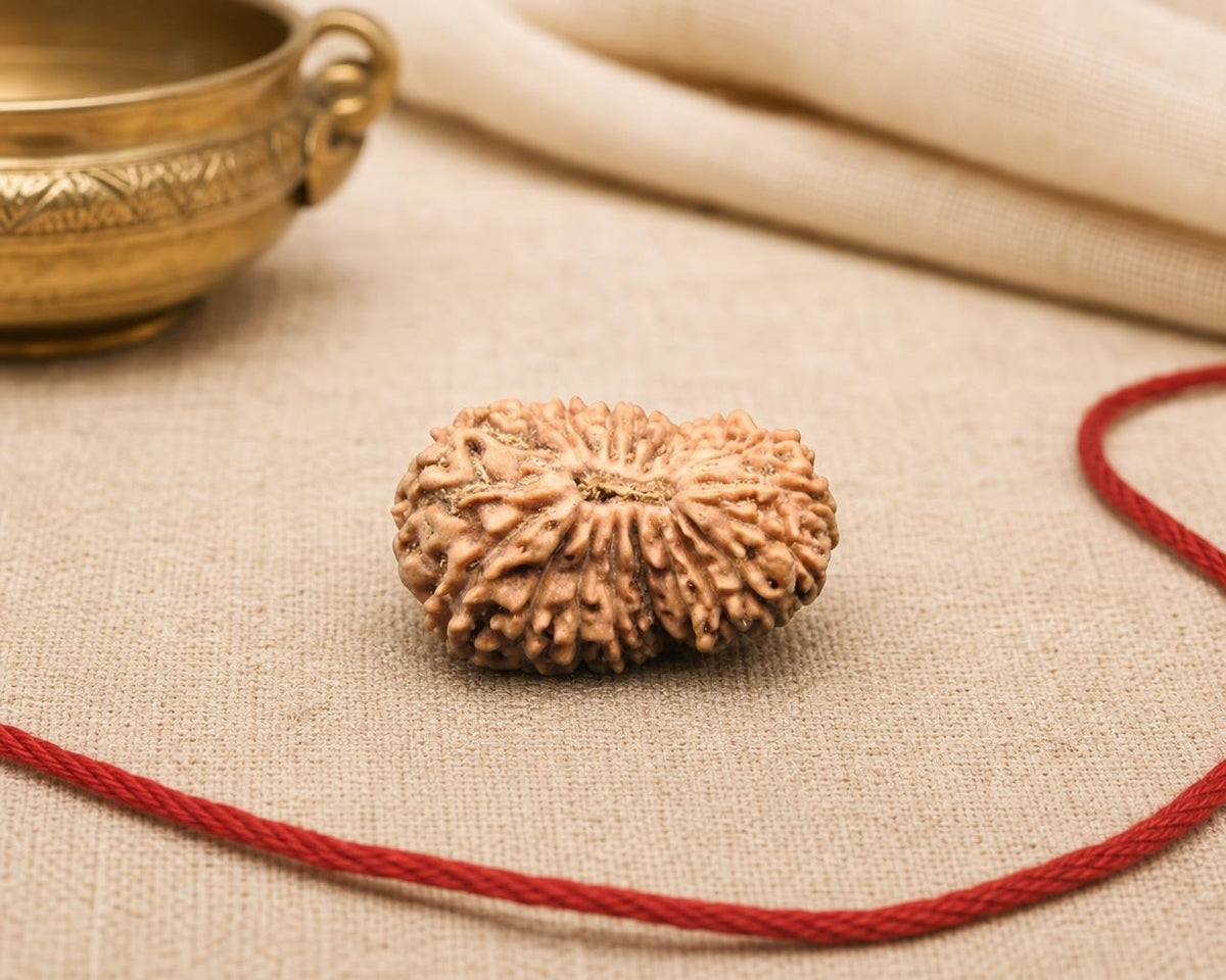 Natural 19 Mukhi Indonesia rudraksha bead with detailed ridges, shown with red braided string