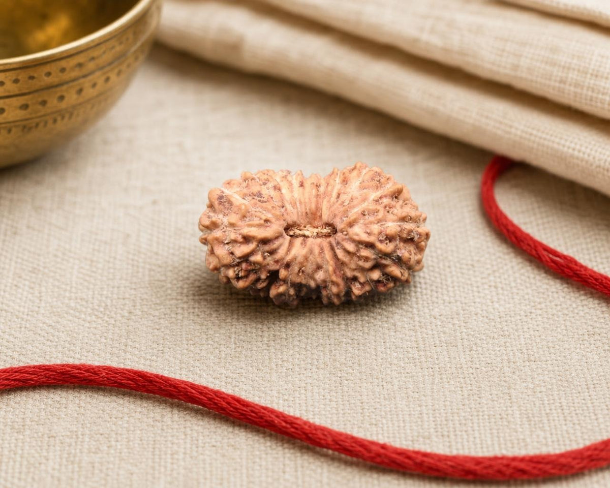 Natural 19 Mukhi Indonesian rudraksha bead with red thread on beige fabric background