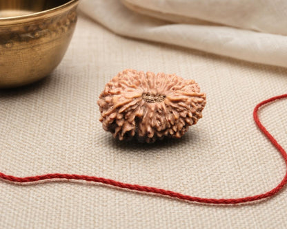 Natural 20 Mukhi Indonesia rudraksha bead with detailed ridges on red thread