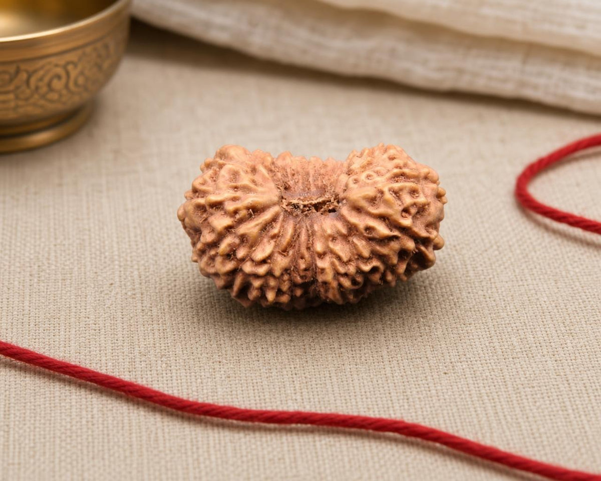 Natural 20 Mukhi rudraksha bead with textured surface and earthy tones on beige fabric