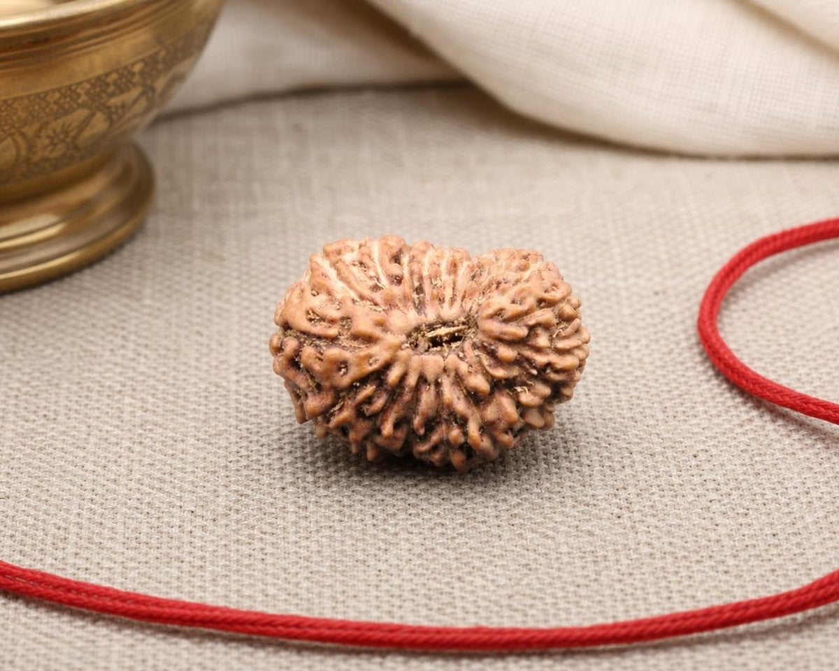 Natural 20 Mukhi Indonesian rudraksha bead with detailed natural ridges on red thread