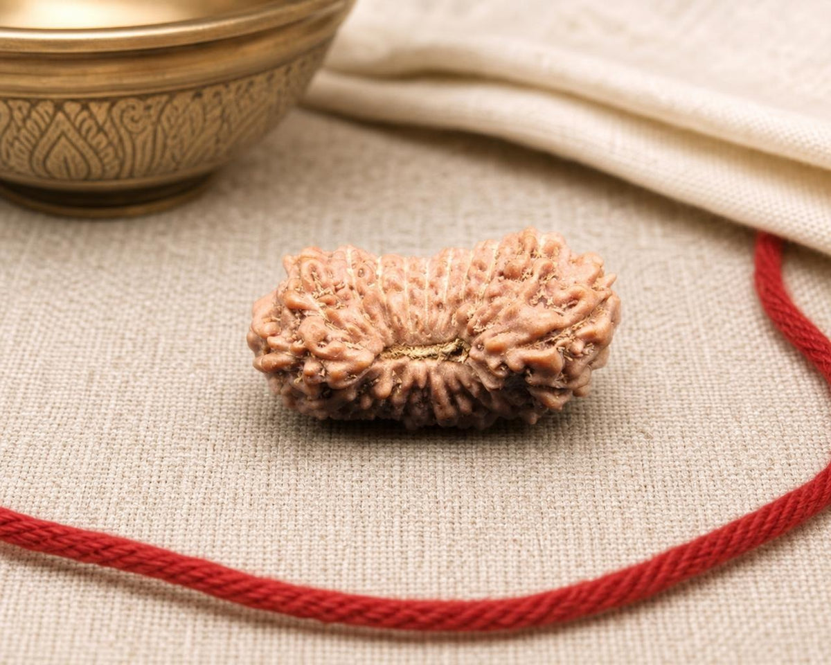 Natural 20 Mukhi Indonesian rudraksha bead with red sacred thread on beige fabric