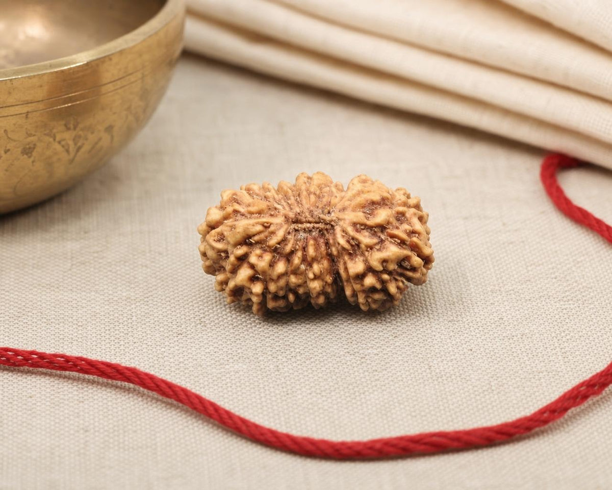 Natural 20 Mukhi Indonesia rudraksha with braided red thread on light fabric background