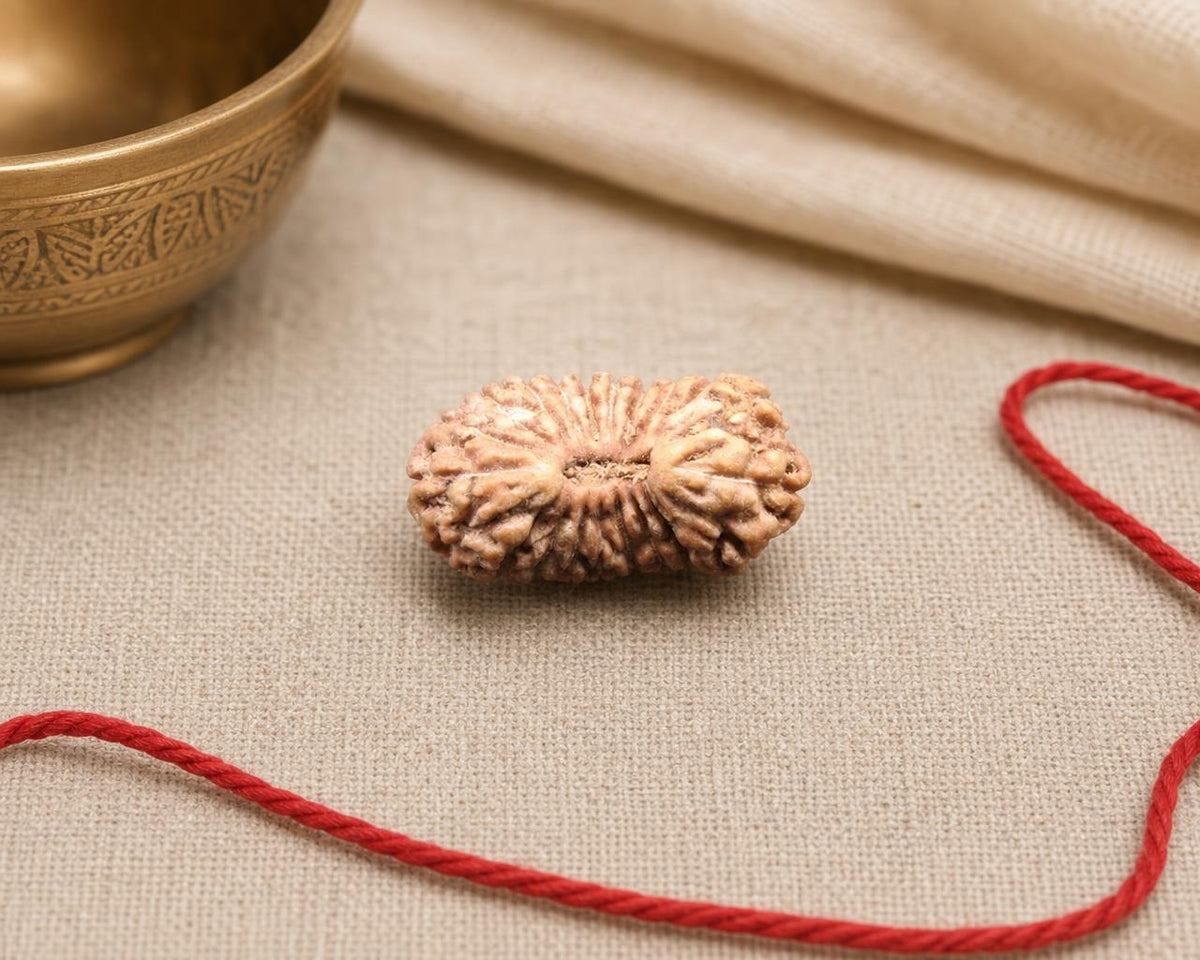 Natural 21 Mukhi Indonesia rudraksha bead with textured ridges on red thread on fabric