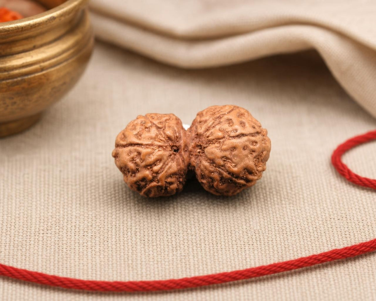 Natural 9 Mukhi Gauri Shankar Indonesia rudraksha bead pair with carved texture on fabric