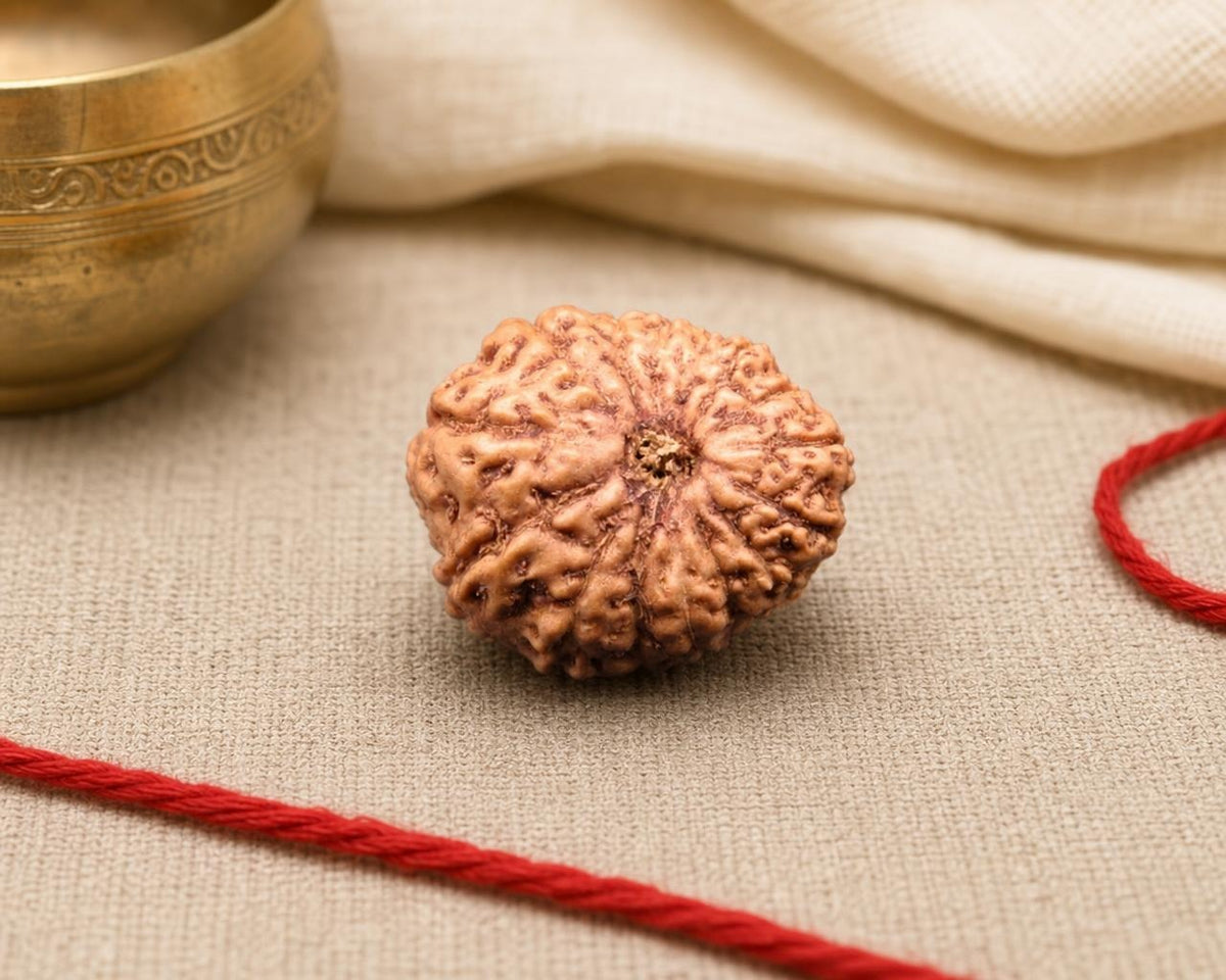 Natural 15 Mukhi Indonesia rudraksha bead with rough ridged surface on red string