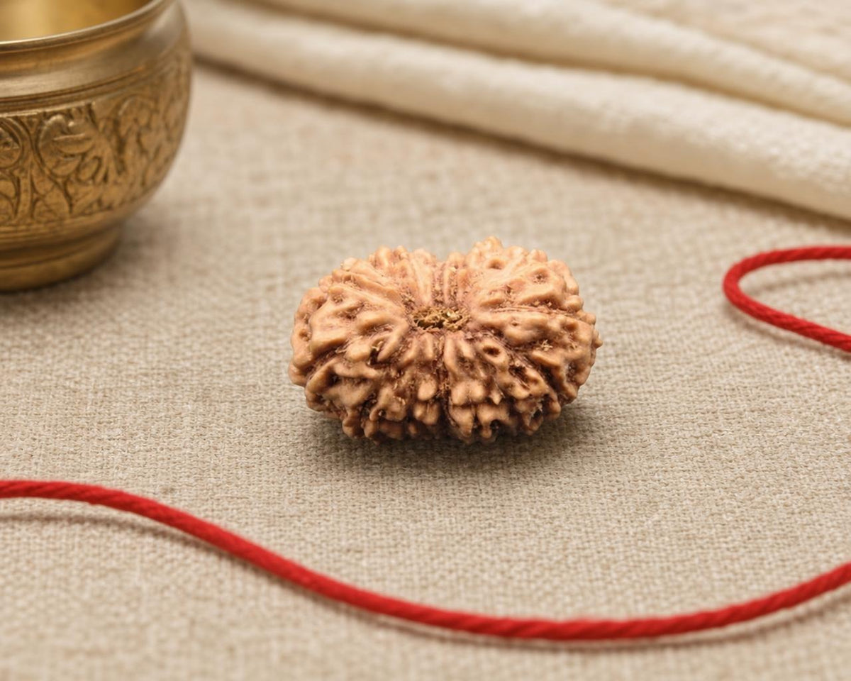 Natural 15 mukhi Indonesian rudraksha bead with red thread on beige fabric background