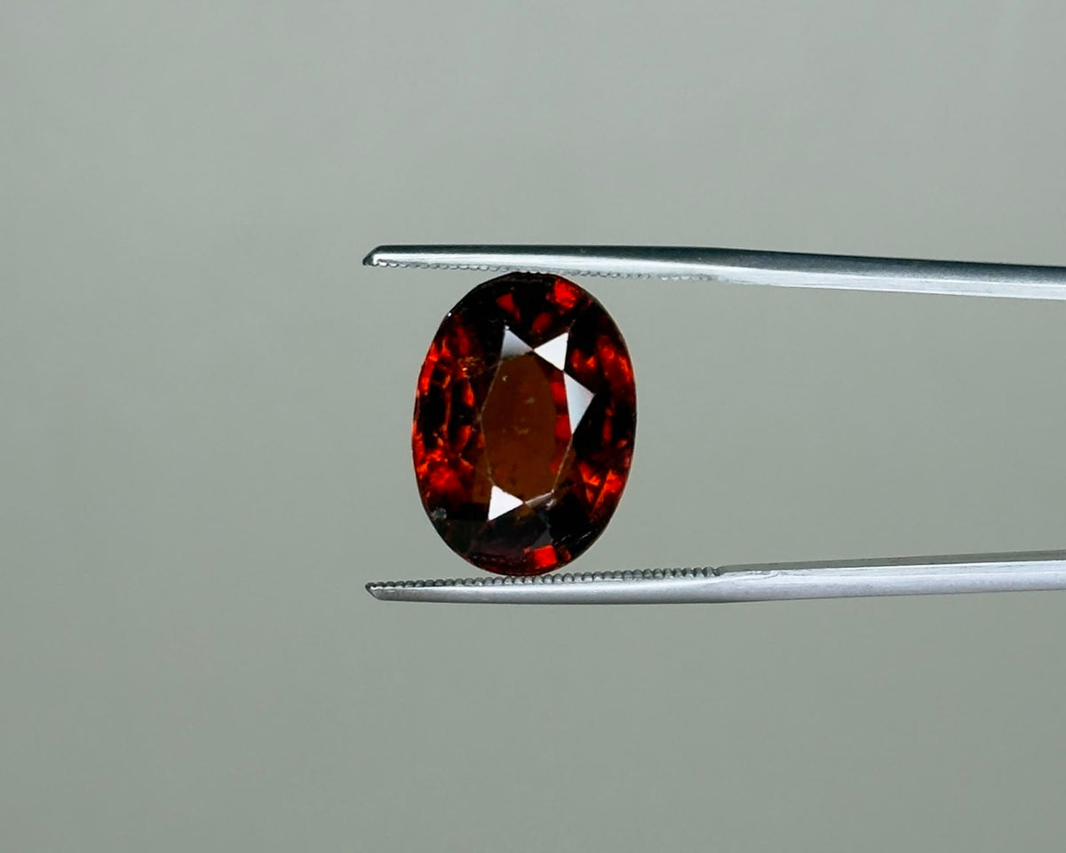 Natural hessonite garnet oval gemstone close-up on metal tweezers with dark red fire