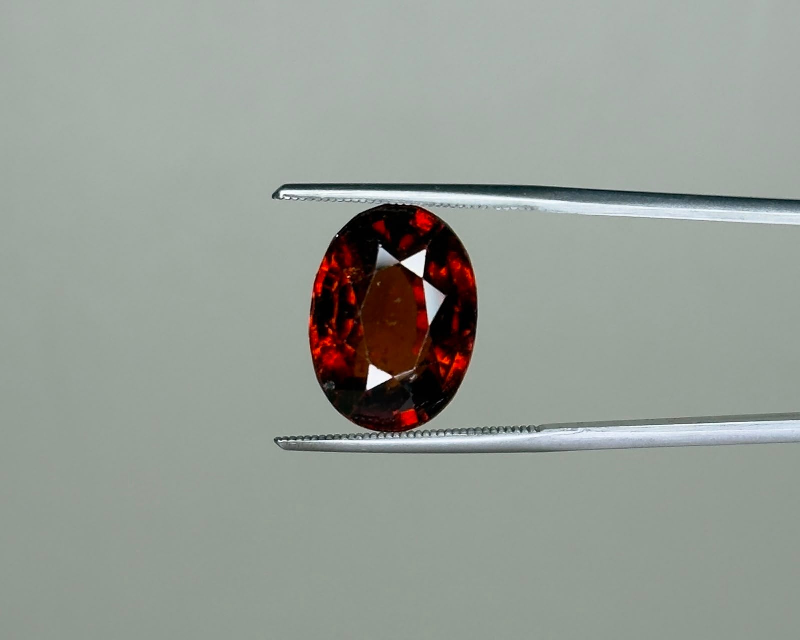 Natural hessonite garnet oval gemstone close-up on metal tweezers with dark red fire