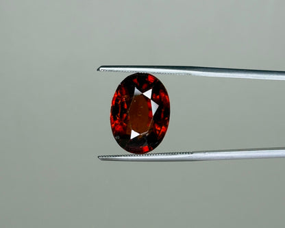Natural hessonite garnet oval gemstone close-up on metal tweezers with dark red fire