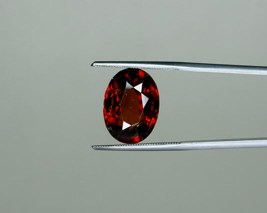 Natural hessonite garnet oval gemstone close-up on metal tweezers with dark red fire