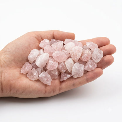 A hand holding a heap of natural raw rose quartz chips on a white background