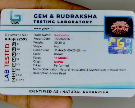 Certification label for natural rudraksha bead showing 15 Mukhi and document number