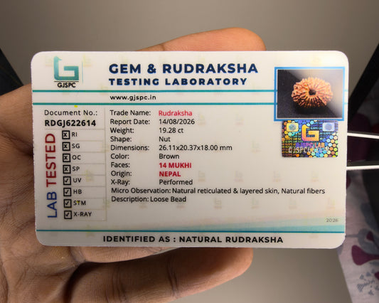 Gem and Rudraksha testing laboratory report card for natural rudraksha with bead photo