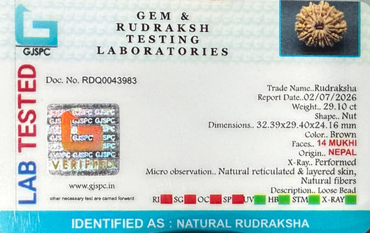 Gem and Rudraksha testing laboratory document for natural rudraksha