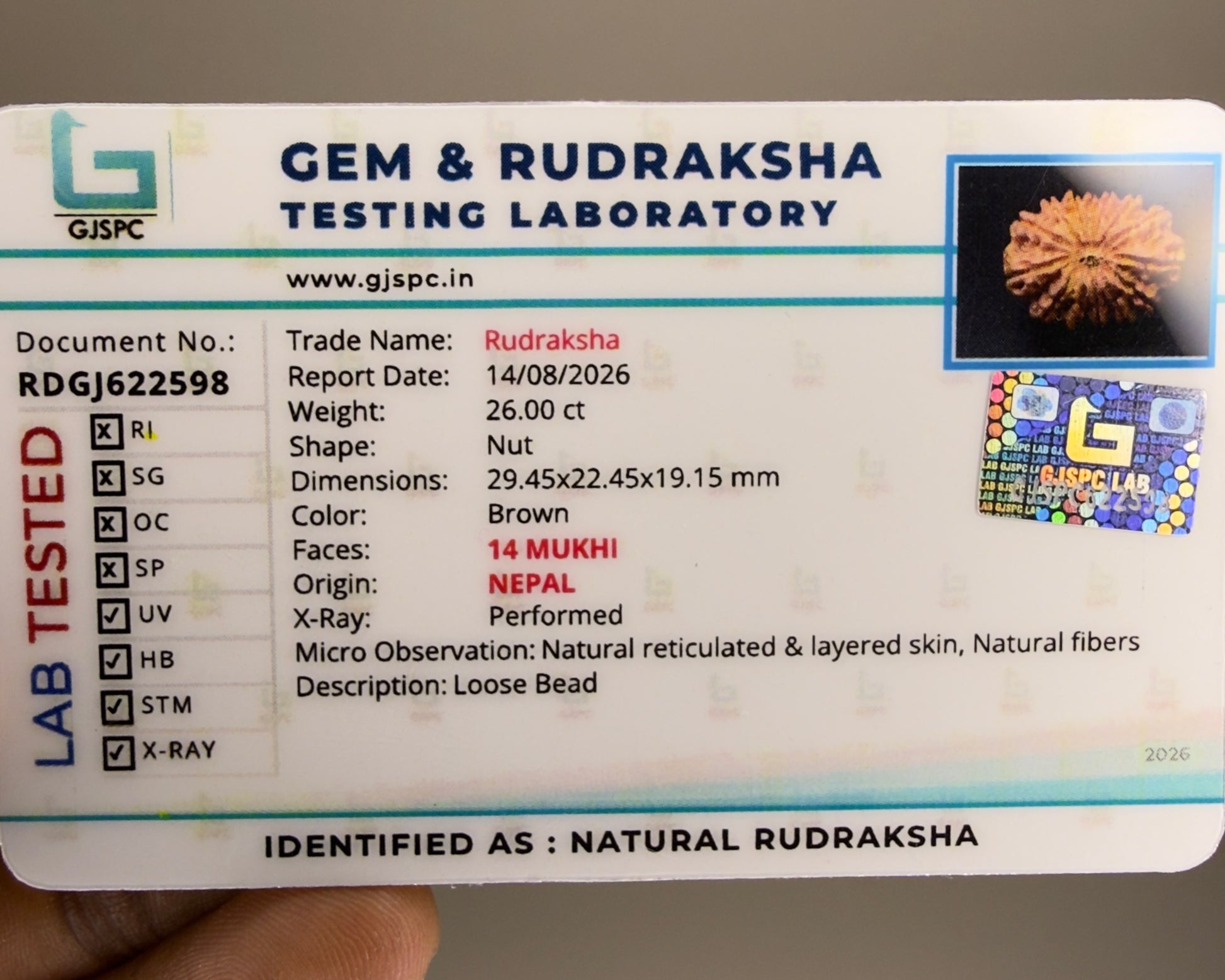 Gem & Rudraksha testing laboratory certificate card for natural Rudraksha 14 Mukhi