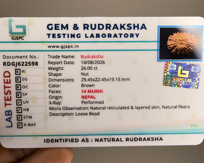 Gem & Rudraksha testing laboratory certificate card for natural Rudraksha 14 Mukhi