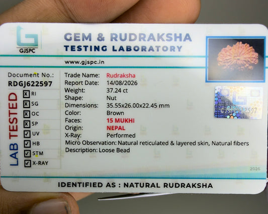 Gem and Rudraksha testing laboratory certificate for natural rudraksha with report details